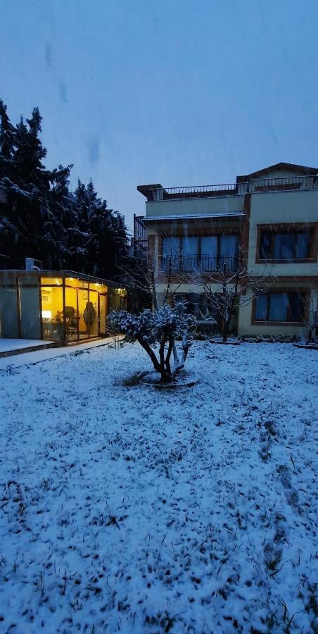 Doga Villa Guest House Büyükçekmece Exterior foto
